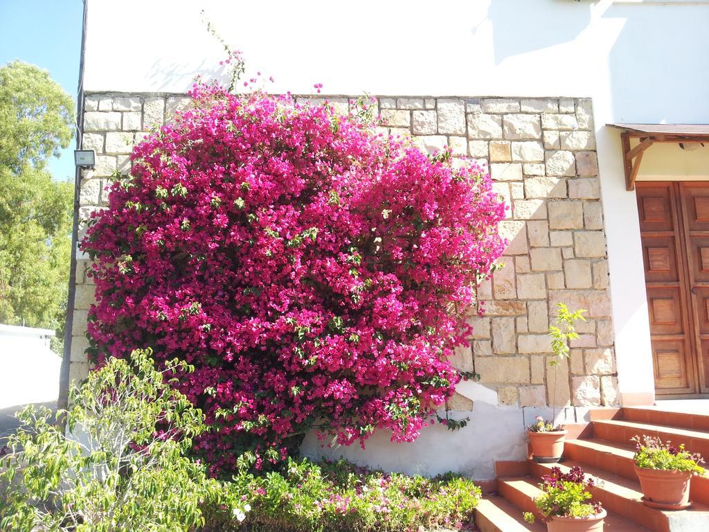 Al Sole Di Pula Bed and Breakfast Εξωτερικό φωτογραφία
